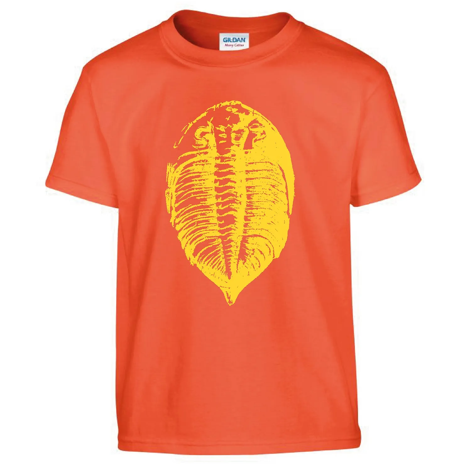 Fossil T-shirts