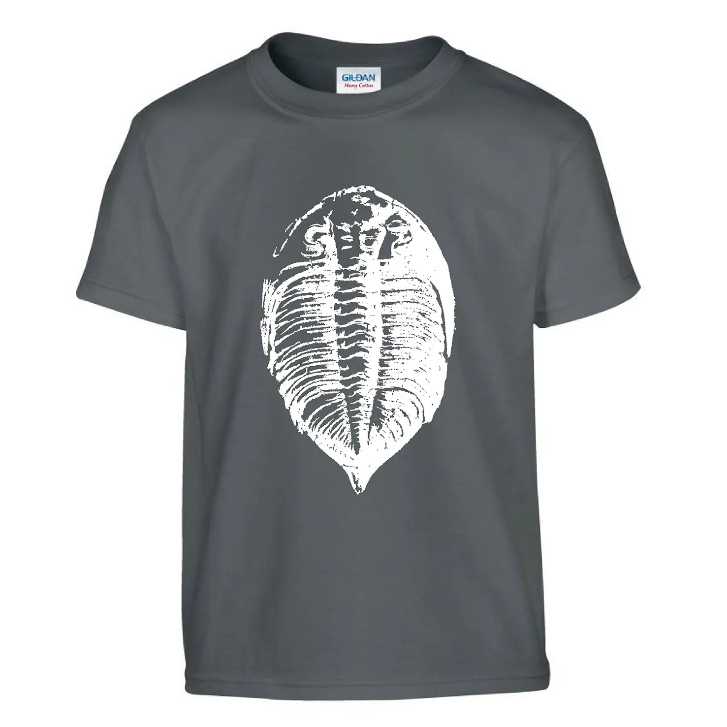 Fossil T-shirts