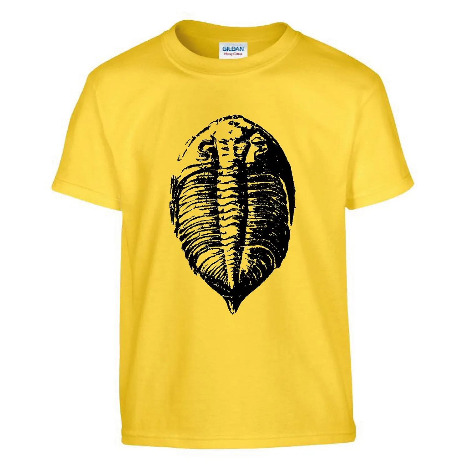 Fossil T-shirts